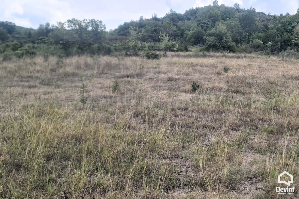 Tirane For Sale Land  Near Equos Resort, Mullet, Tirane Building Plot toke per agroturizem investim